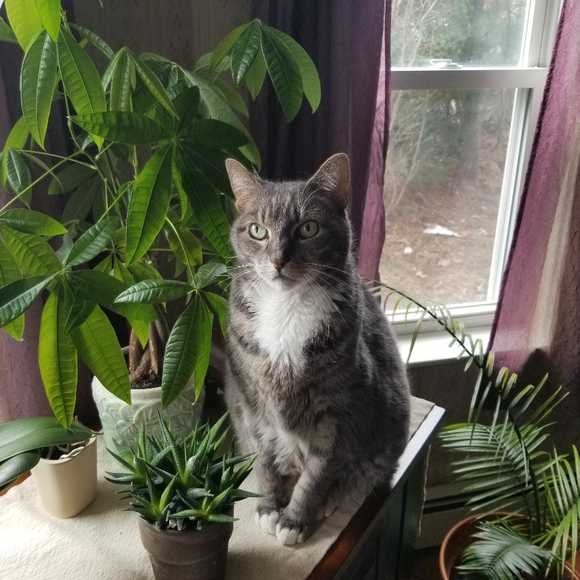 Meet your Posher, Jennifer - Picture 11 of 11